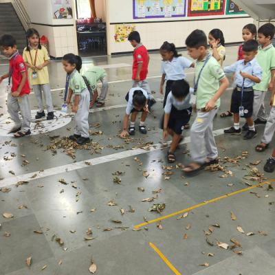 ENVIRONMENT DAY PRIMARY 2026-2027