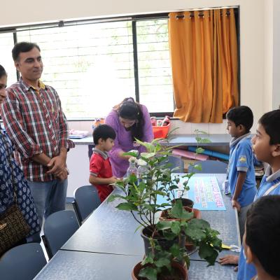 Grade 2 5